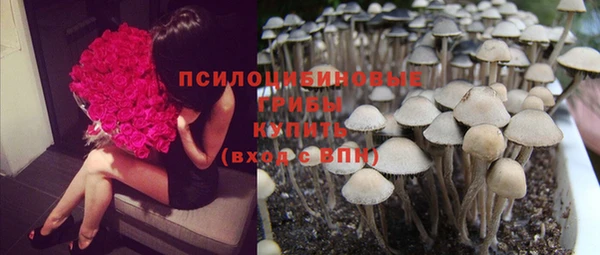 круглые Кукмор