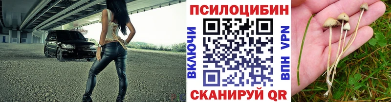Псилоцибиновые грибы мицелий  Купить где  Майкоп 